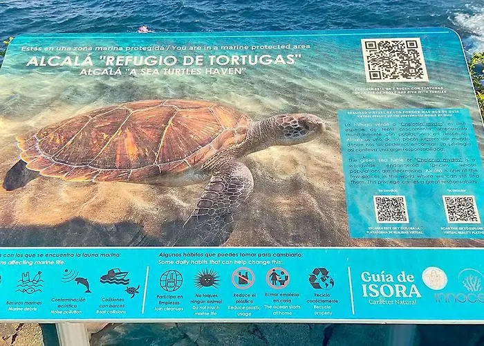 Alcala Center Playa Apartman képek